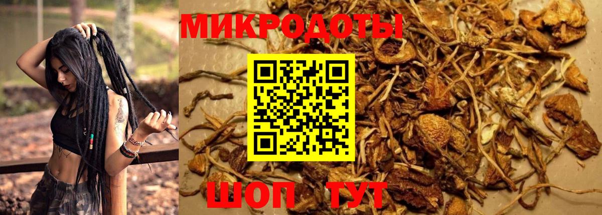 Ангарск  Псилоцибиновые грибы MAGIC MUSHROOMS  Вход с VPN 